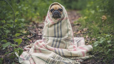 darmowe materiały dla grafików