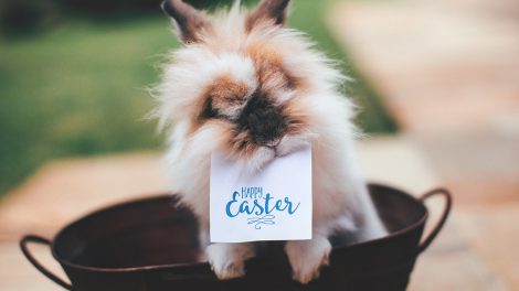 darmowe grafiki na wielkanoc