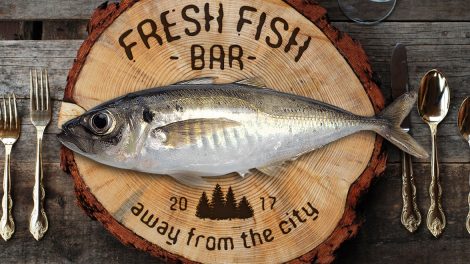 poniedziałkowe gratisy 57