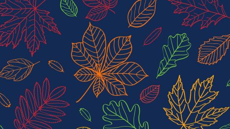 jesienne poniedziałkowe gratisy