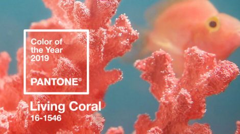 Kolor roku 2019 Pantone 16-1546 Living Coral