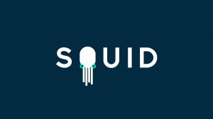 Design Alley w Squid App