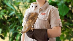 Zoo w granby zmienia logo