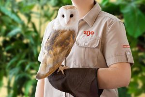 Zoo w granby zmienia logo