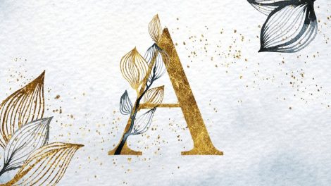 Poniedziałkowe gratisy 105