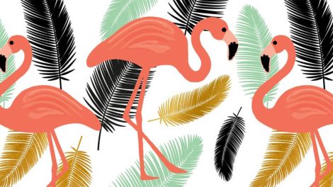 106 odcinek poniedziałkowych gratisów