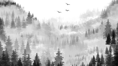 Poniedziałkowe gratisy odcinek 111