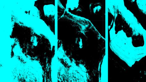 poniedzialkowe gratisy 204