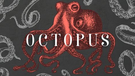 poniedziałkowe gratisy 220