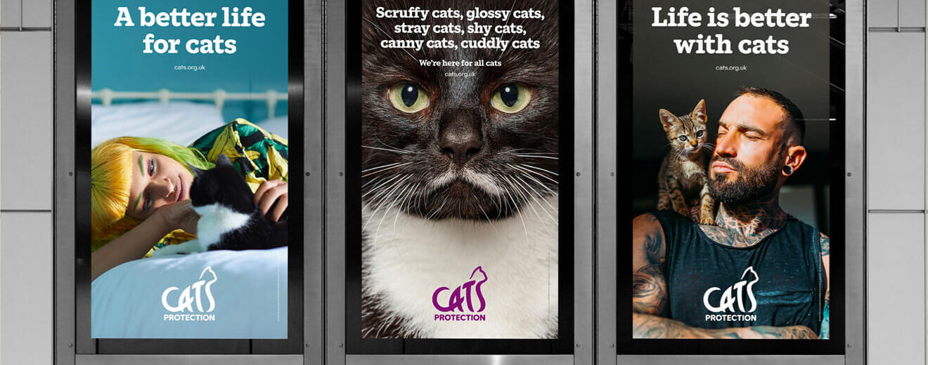 Brandingowy przegląd miesiąca #64 (listopad 2023)