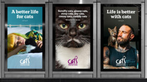 Brandingowy przegląd miesiąca #64 (listopad 2023)