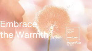 Kolor roku Pantone 2024: Peach Fuzz