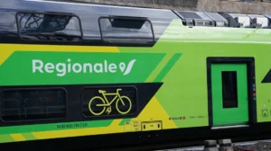 brandingowy przegląd miesiąca październik 2024