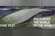 Rebranding miesiąca #127: The Whale (maj 2026)
