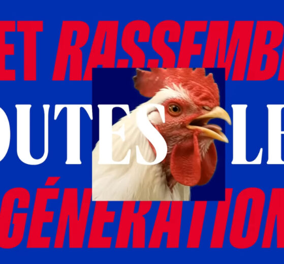 Brandingowy przegląd miesiąca #96 (lipiec 2026)