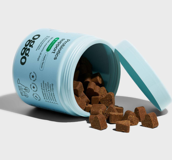 Oggo – kompleksowy branding marki oferującej suplementy diety i kosmetyki dla psów i kotów od Motyw Studio