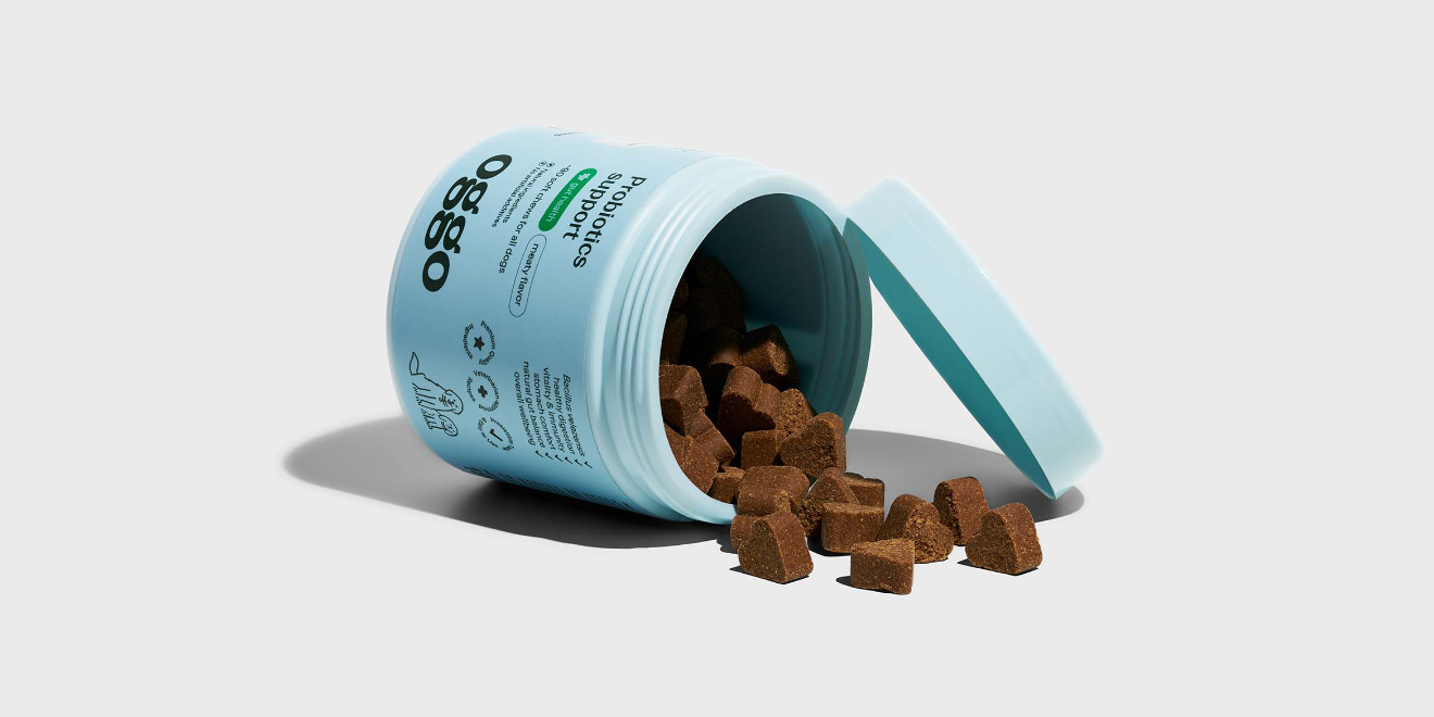 Oggo – kompleksowy branding marki oferującej suplementy diety i kosmetyki dla psów i kotów od Motyw Studio